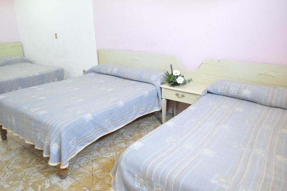 Hotel Viena Irapuato Dış mekan fotoğraf