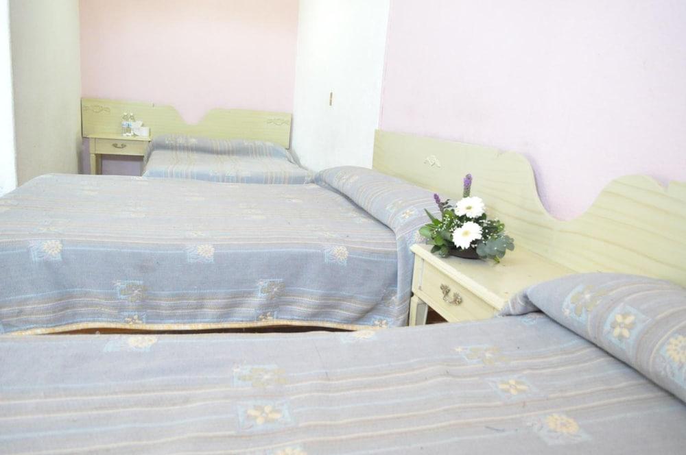Hotel Viena Irapuato Dış mekan fotoğraf