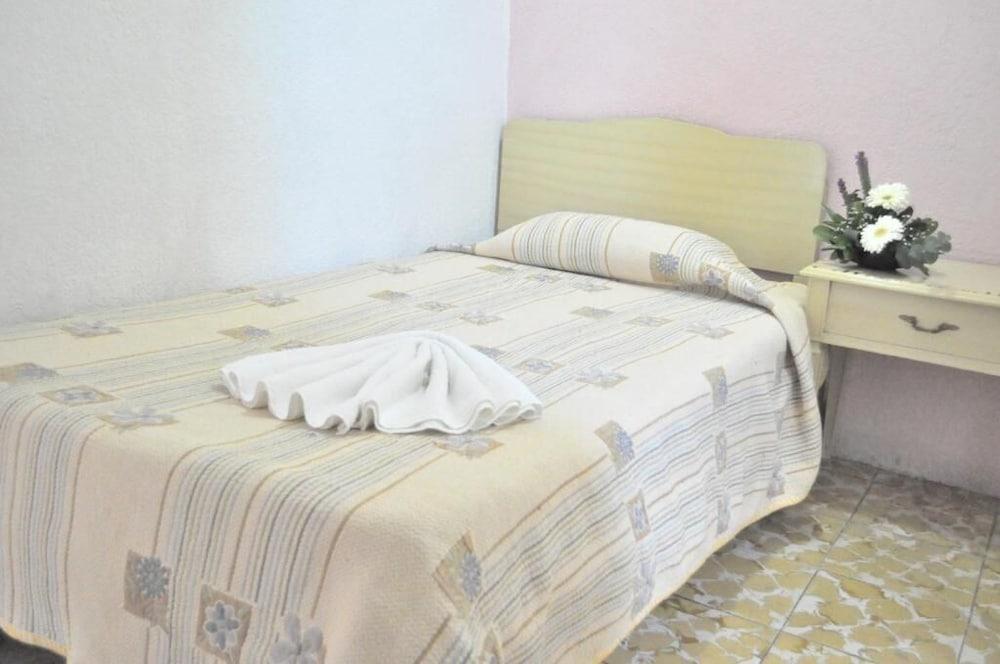 Hotel Viena Irapuato Dış mekan fotoğraf