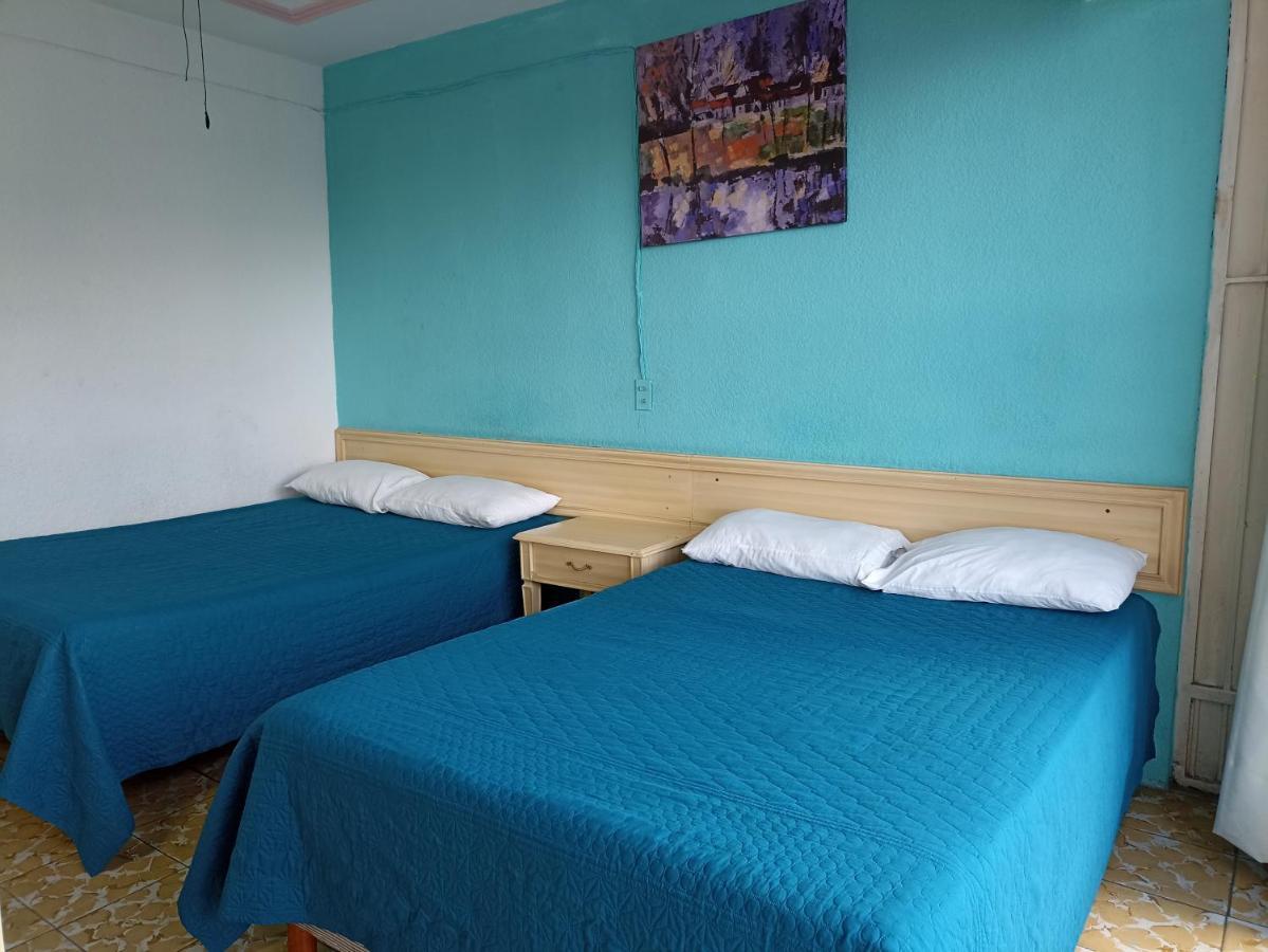 Hotel Viena Irapuato Dış mekan fotoğraf