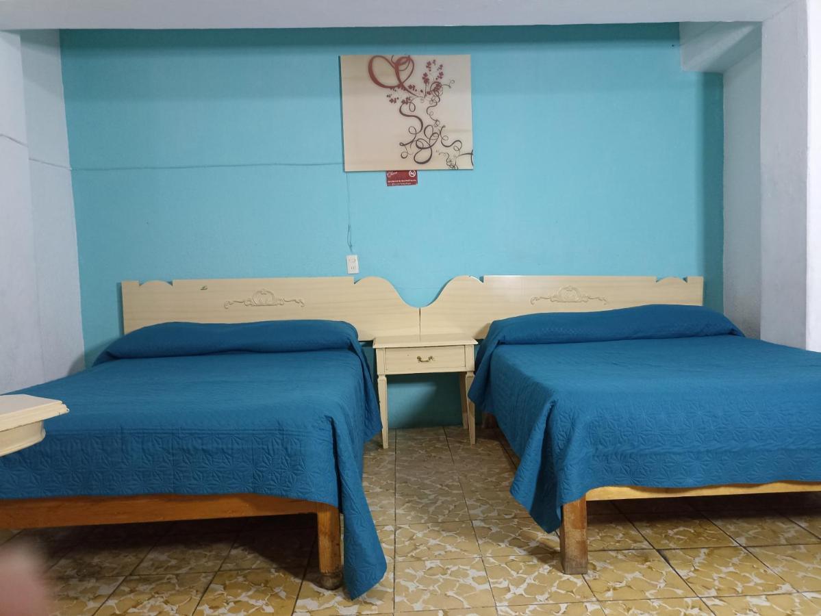 Hotel Viena Irapuato Dış mekan fotoğraf